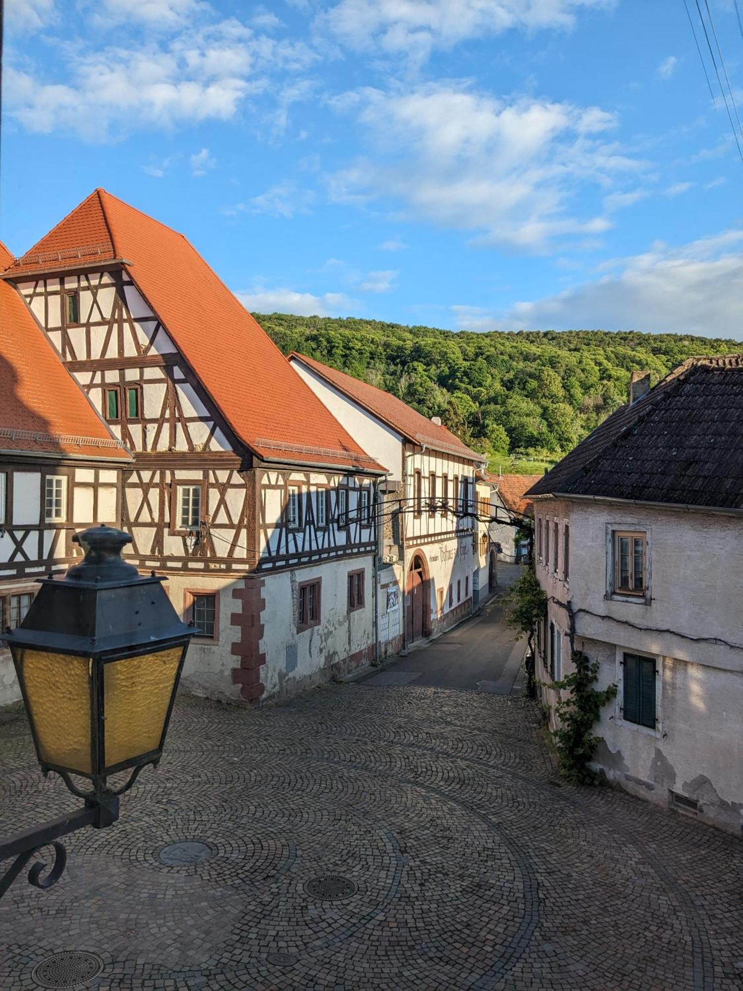 Im Kraemerladen Neustadt an der Weinstraße Dış mekan fotoğraf